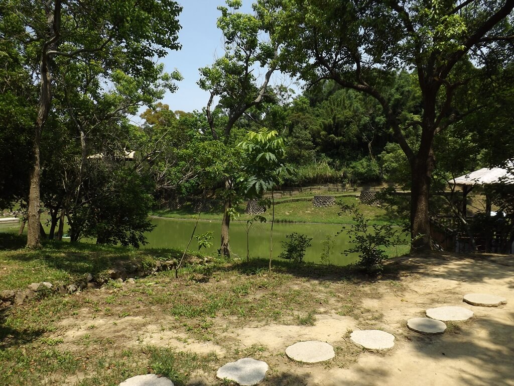 新竹青青草原的圖片：樹林後方就是生態水池