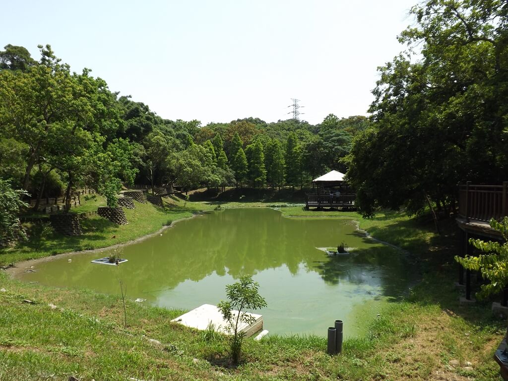 新竹青青草原的圖片：第一生態池全景照