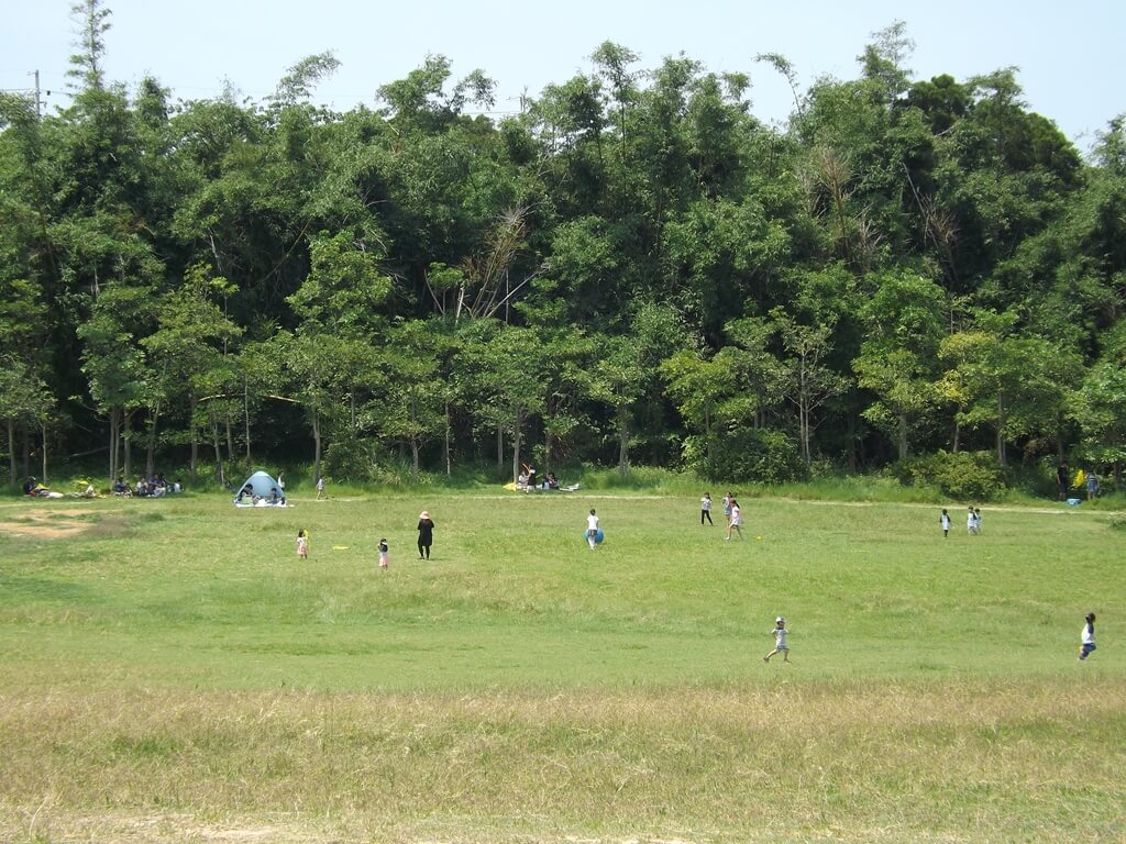 新竹青青草原的圖片：很大的草原、森林及遊客們