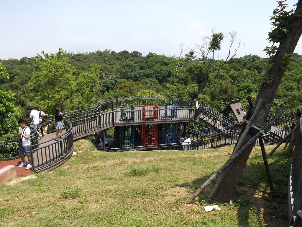 新竹青青草原的圖片：空中木棧遊戲區