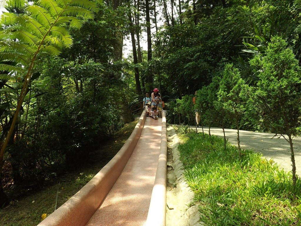 森林鳥花園（已停止營業）的圖片：很長的橘色溜滑梯相當受歡迎