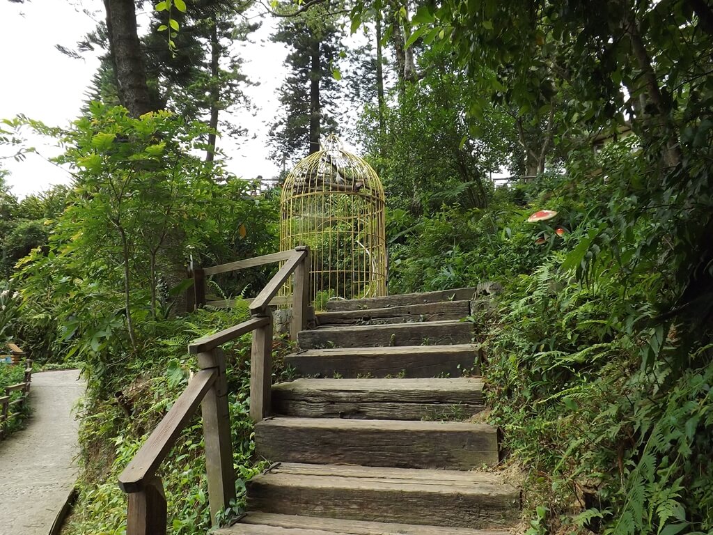 森林鳥花園（已停止營業）的圖片：木頭階梯上有一個拍照打卡用的金黃色鳥籠