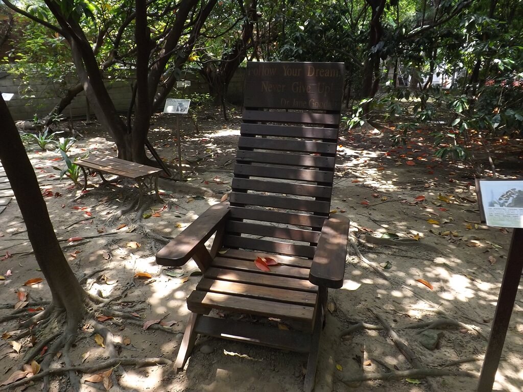 義美食品觀光工廠（義美食品生產．生態．生活廠區）的圖片：木頭打造的躺椅