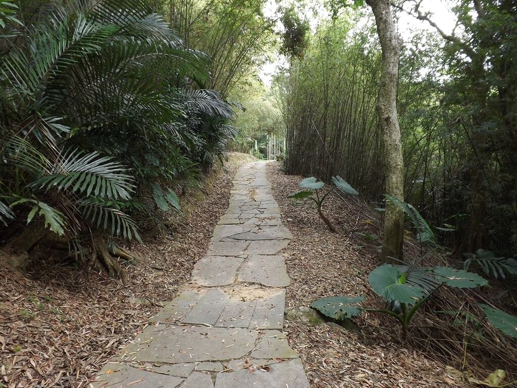 心鮮森林（已歇業）的圖片：竹林步道（123660217）