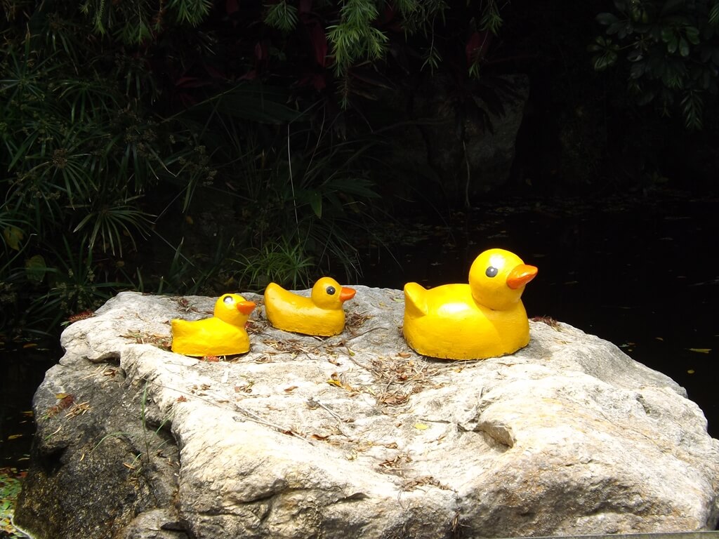 小叮噹科學主題樂園的圖片：水池石塊上的三隻黃色小鴨