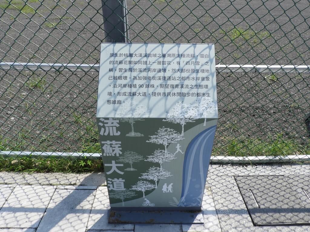 老街溪河岸公園的圖片：流蘇大道介紹看板