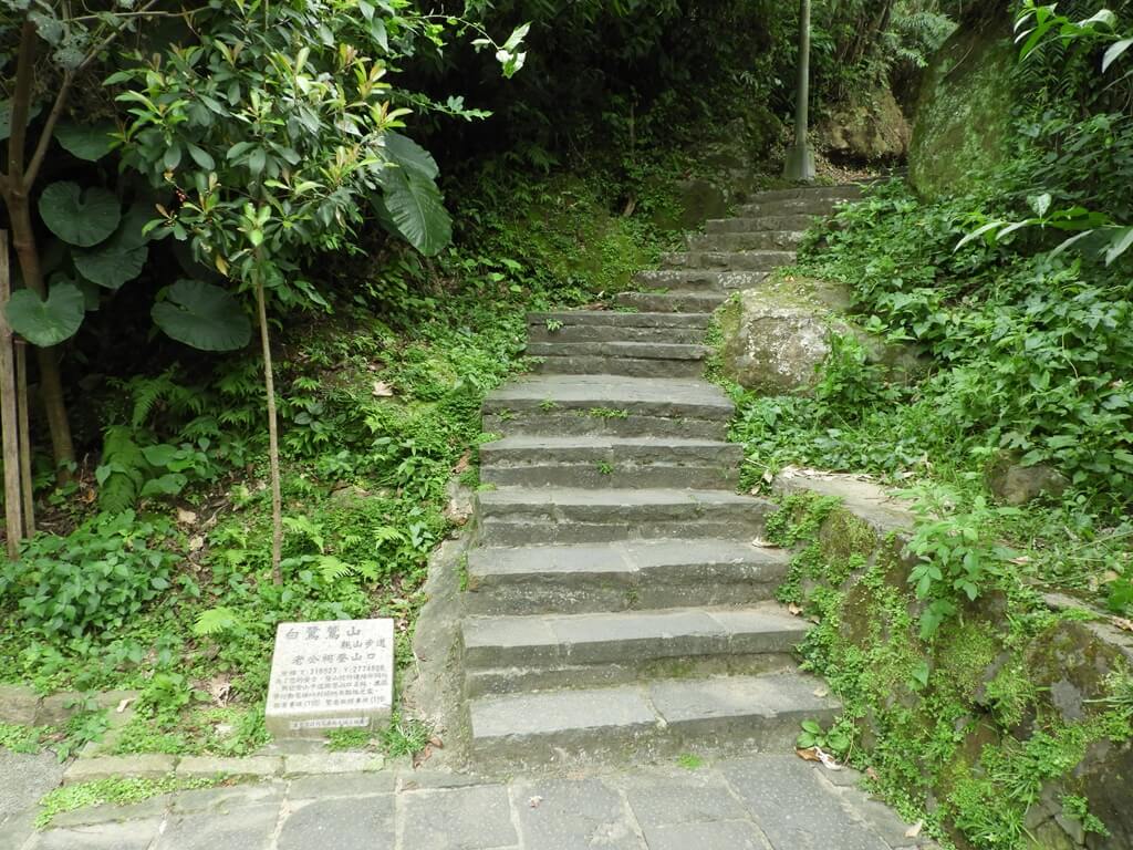 白鷺鷥山的圖片：開始攀登的階梯