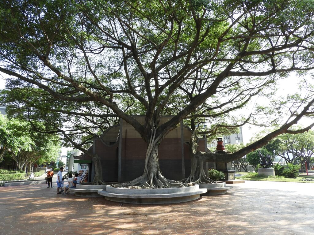 中壢藝術園區的圖片：福德宮後方的老樹依舊保留