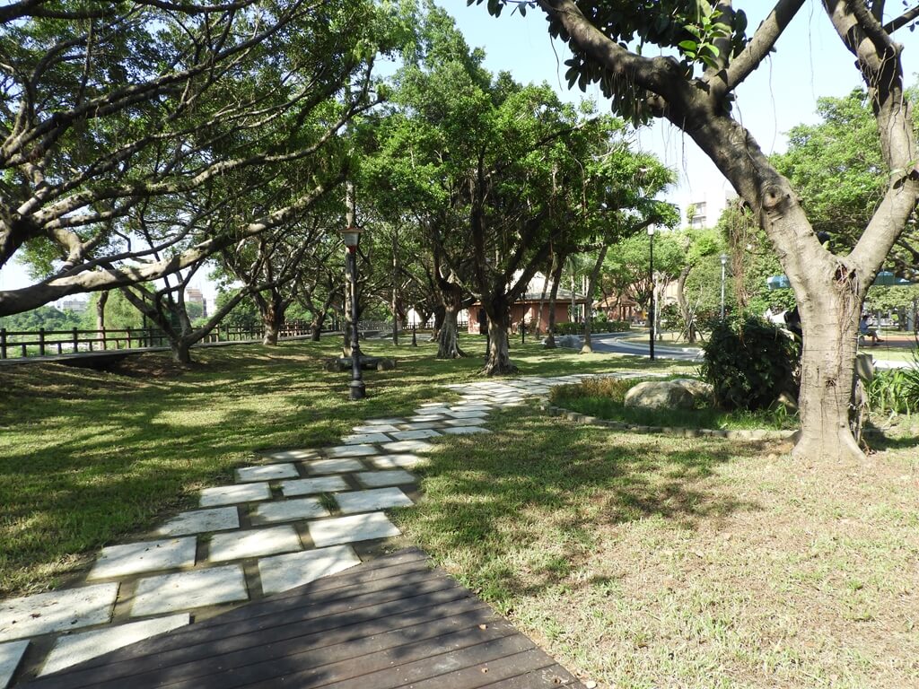 中壢藝術園區的圖片：新鋪設的樹蔭步道