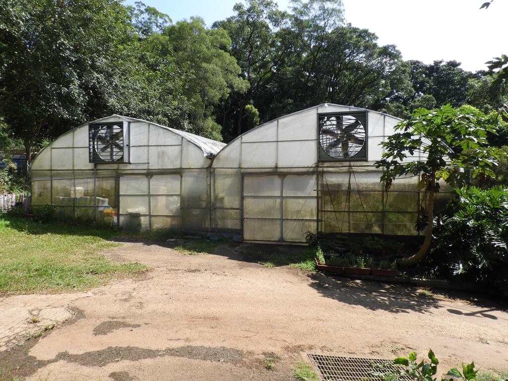 大溪花海農場的圖片：無毒蔬果溫室