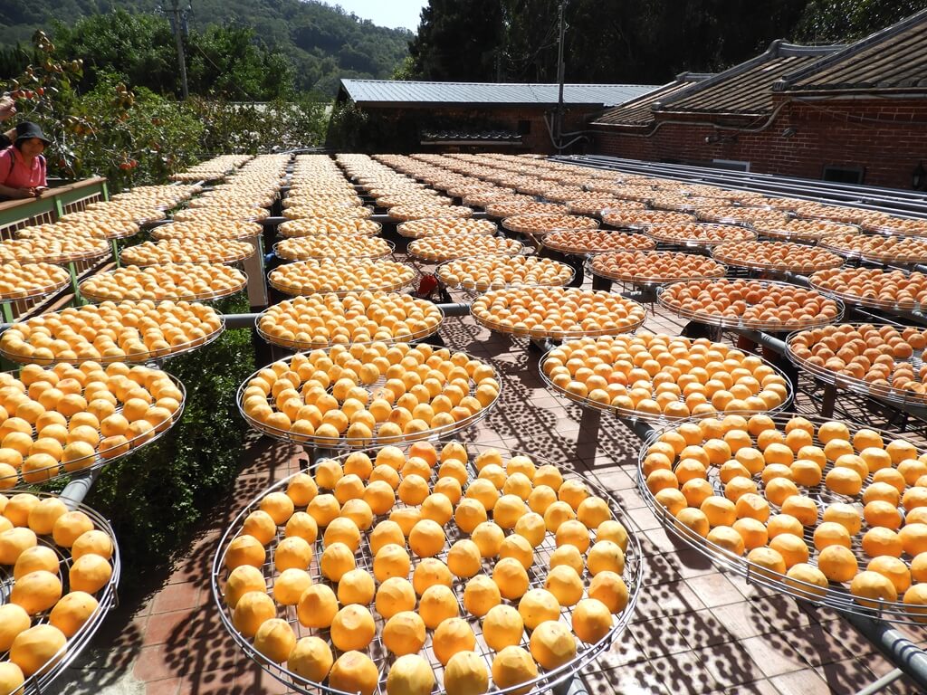 金漢柿餅教育農園的圖片：第25張照片