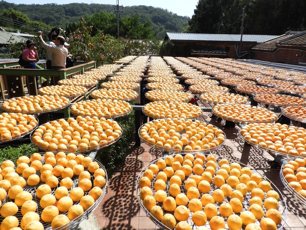金漢柿餅教育農園的圖片：第26張照片