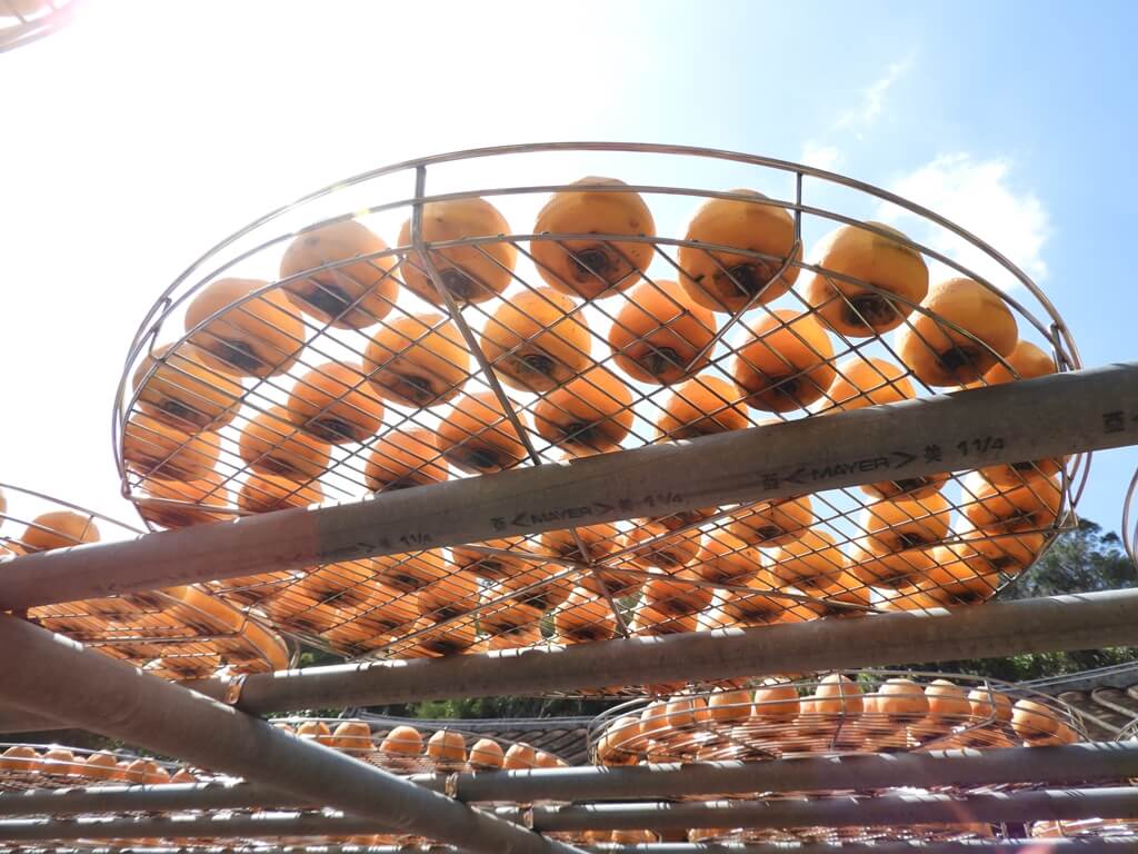 金漢柿餅教育農園的圖片：第30張照片
