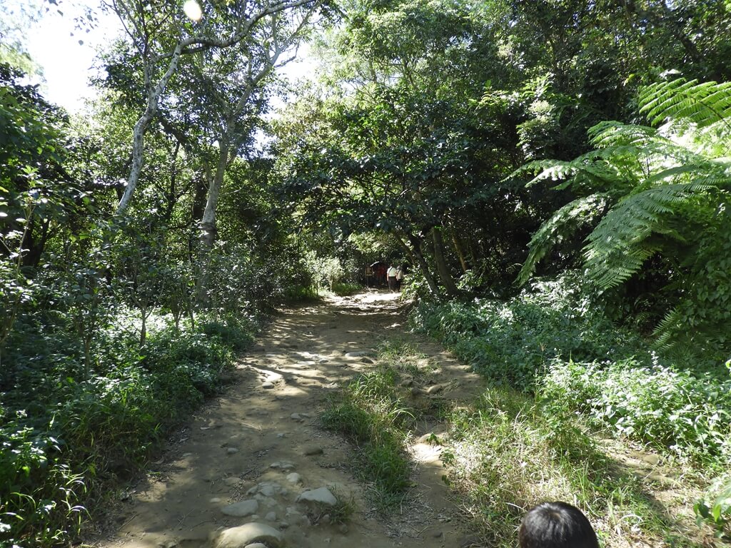 桃園石門山步道的圖片：第12張照片
