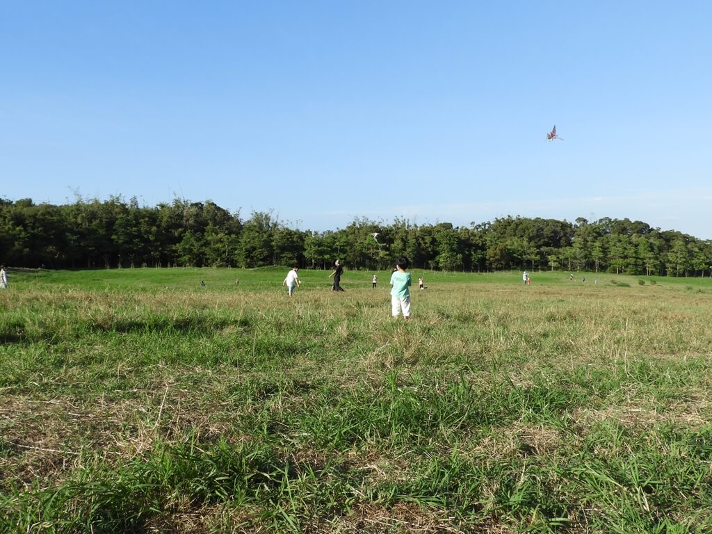 新竹青青草原的圖片：第85張照片