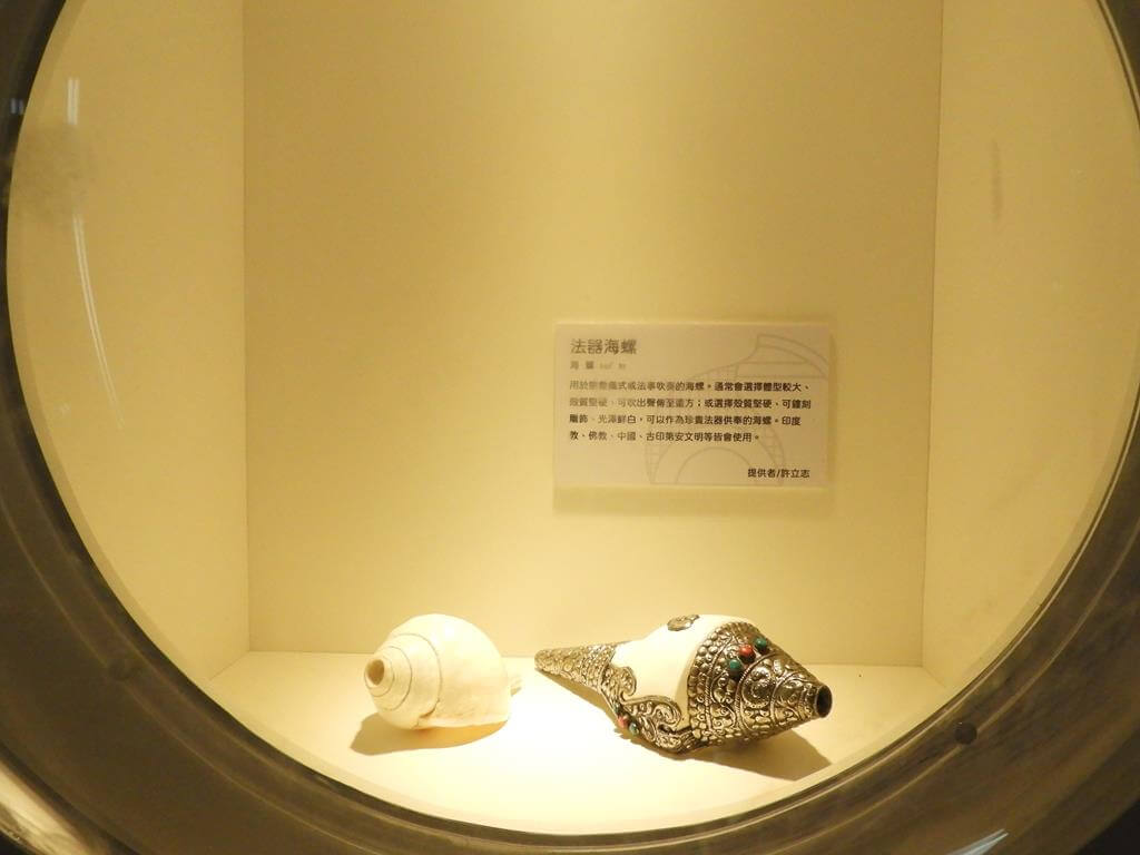 永安海螺文化體驗園區的圖片：第47張照片
