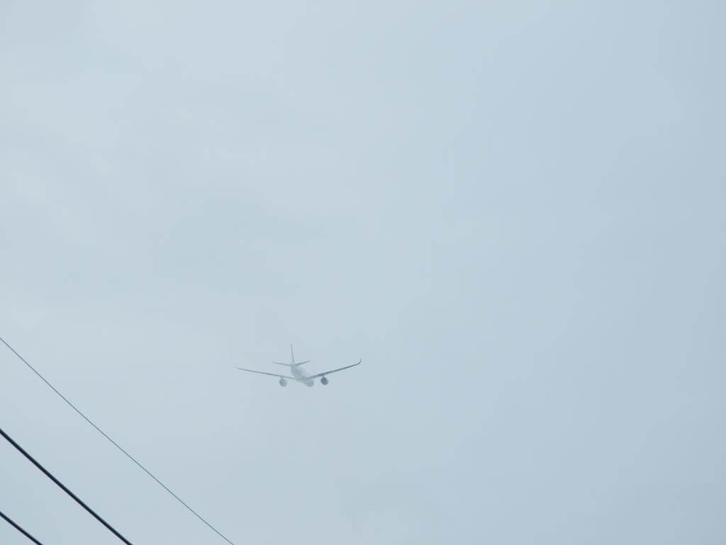 桃園國際機場跑道頭觀賞點（看飛機）的圖片：第20張照片