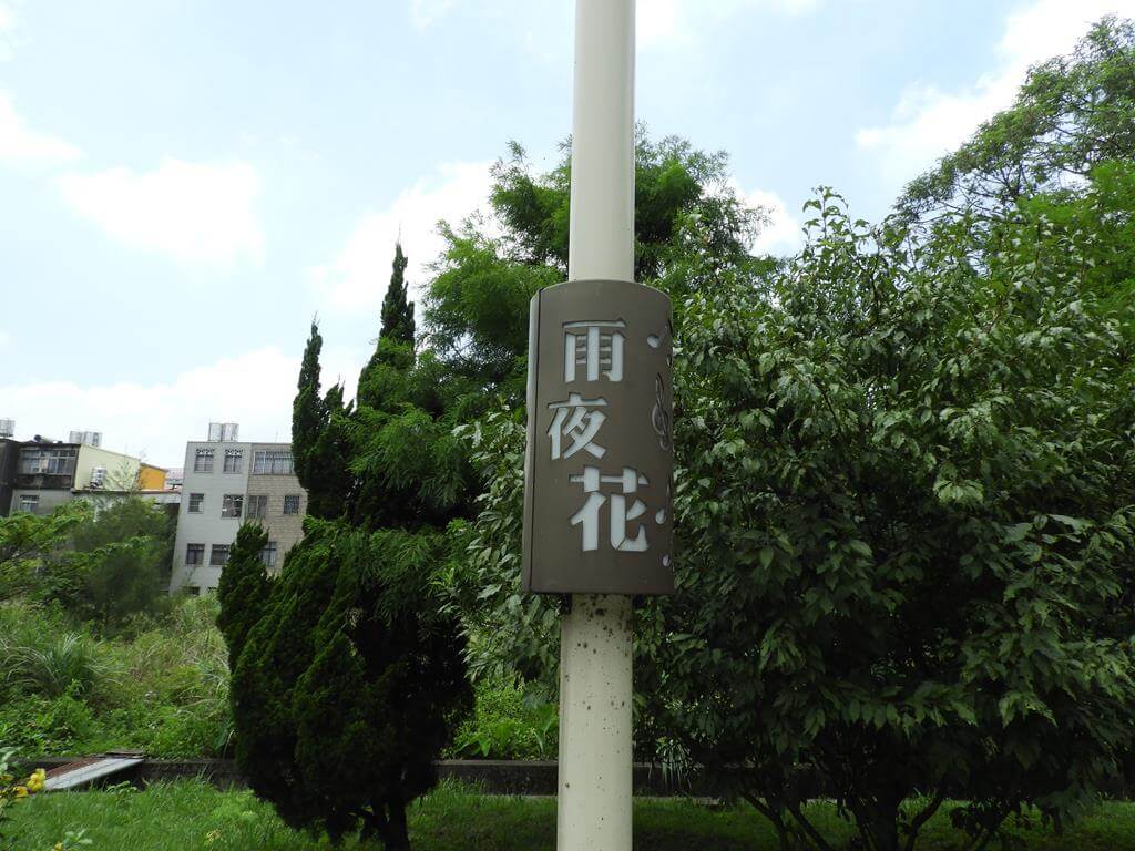 鄧雨賢音樂文化公園的圖片：第29張照片