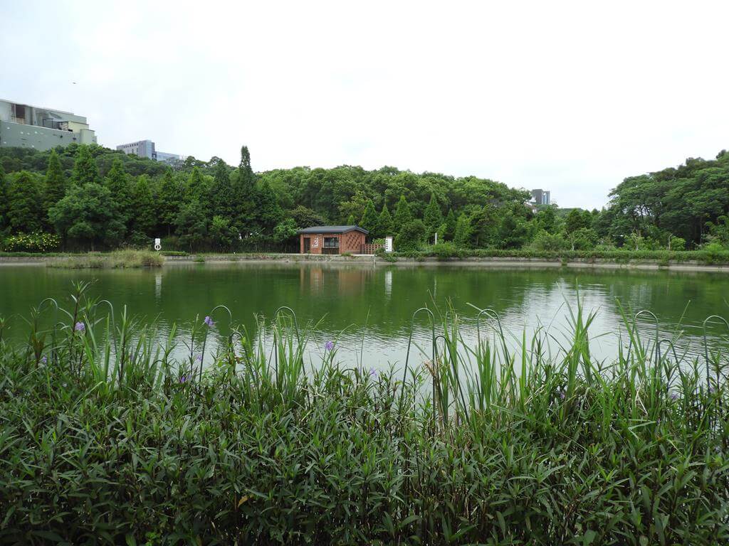 鑊篤陂塘生態公園的圖片：第6張照片