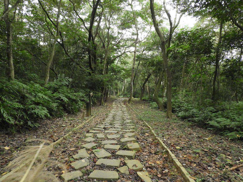 東森山林步道的圖片：第18張照片
