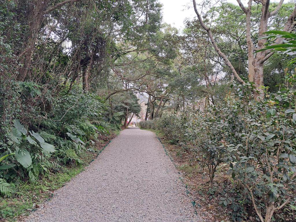 桃園石門山步道的圖片：第56張照片