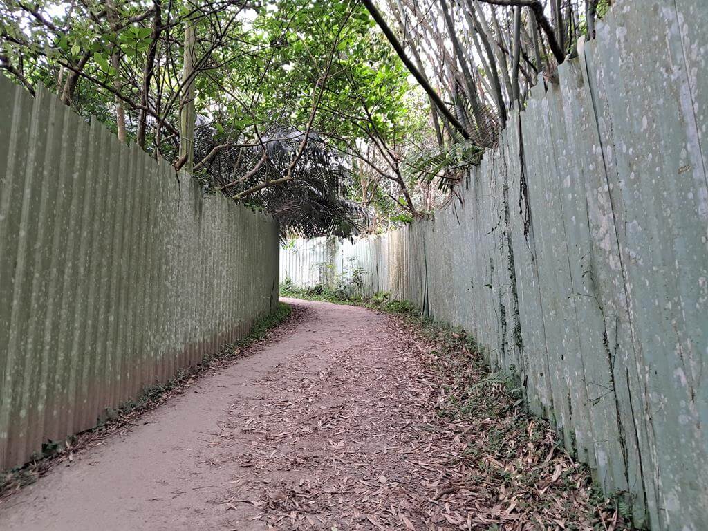 桃園石門山步道的圖片：第75張照片
