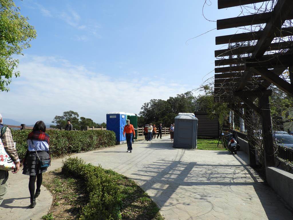 銅鑼炮仗花海公園的圖片：第16張照片