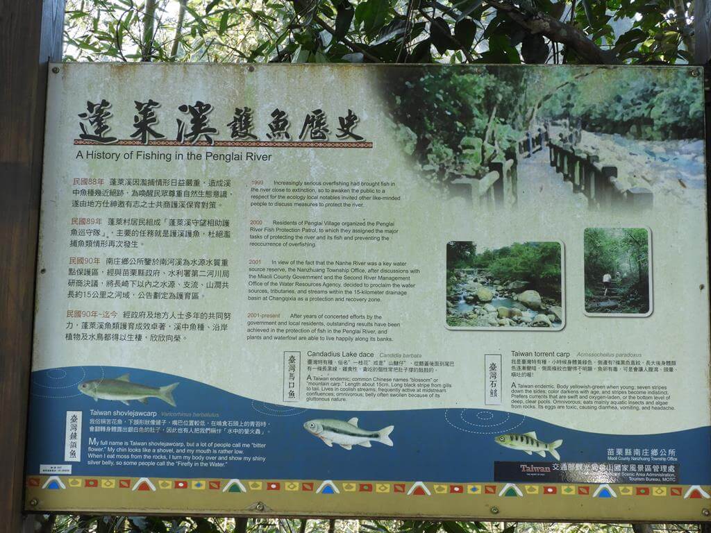 蓬萊溪自然生態園區（蓬萊溪護魚步道）的圖片：第4張照片