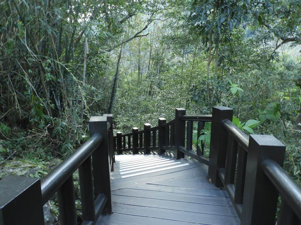 蓬萊溪自然生態園區（蓬萊溪護魚步道）的圖片：第7張照片