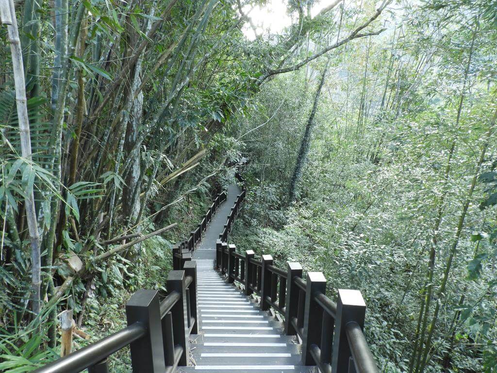 蓬萊溪自然生態園區（蓬萊溪護魚步道）的圖片：第8張照片