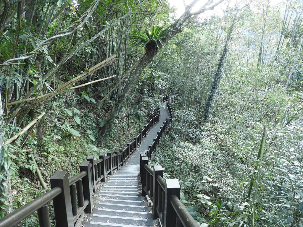 蓬萊溪自然生態園區（蓬萊溪護魚步道）的圖片：第9張照片