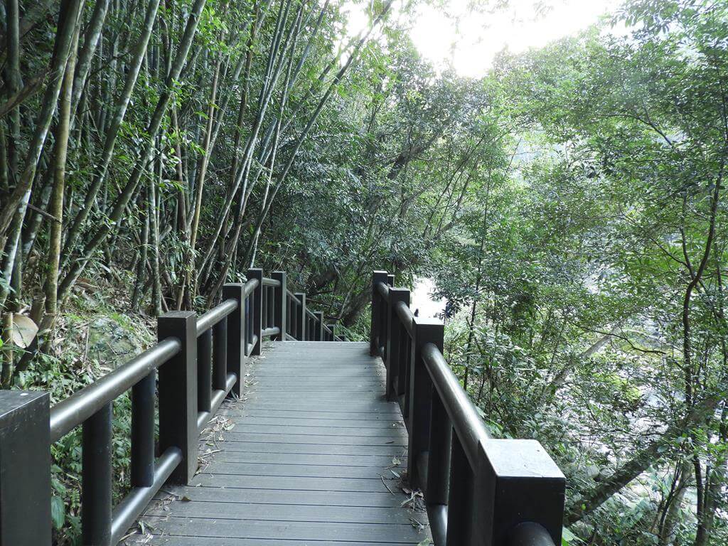 蓬萊溪自然生態園區（蓬萊溪護魚步道）的圖片：第12張照片