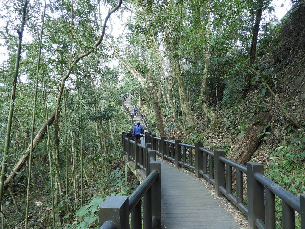蓬萊溪自然生態園區（蓬萊溪護魚步道）的圖片：第14張照片