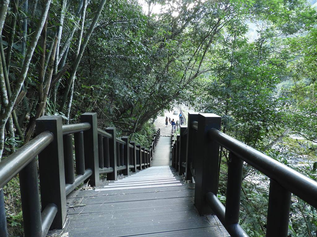 蓬萊溪自然生態園區（蓬萊溪護魚步道）的圖片：第15張照片