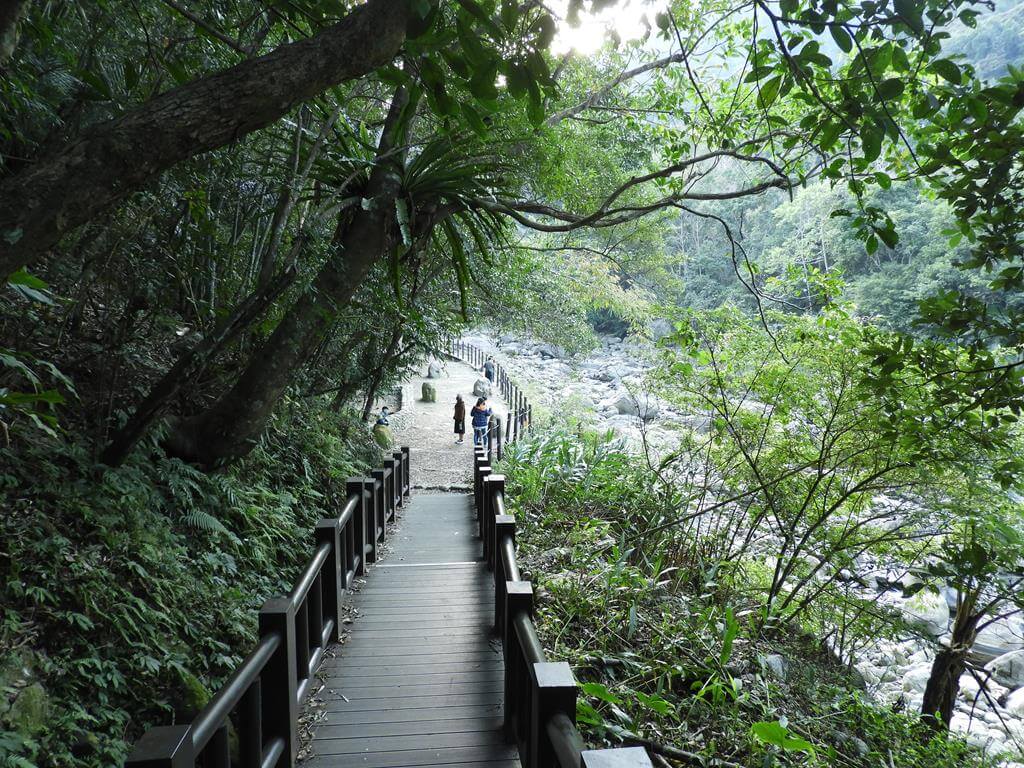 蓬萊溪自然生態園區（蓬萊溪護魚步道）的圖片：第16張照片