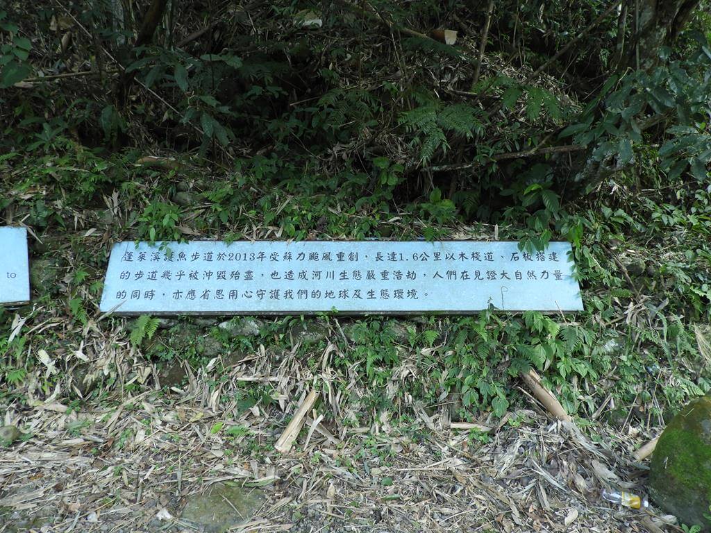 蓬萊溪自然生態園區（蓬萊溪護魚步道）的圖片：第18張照片