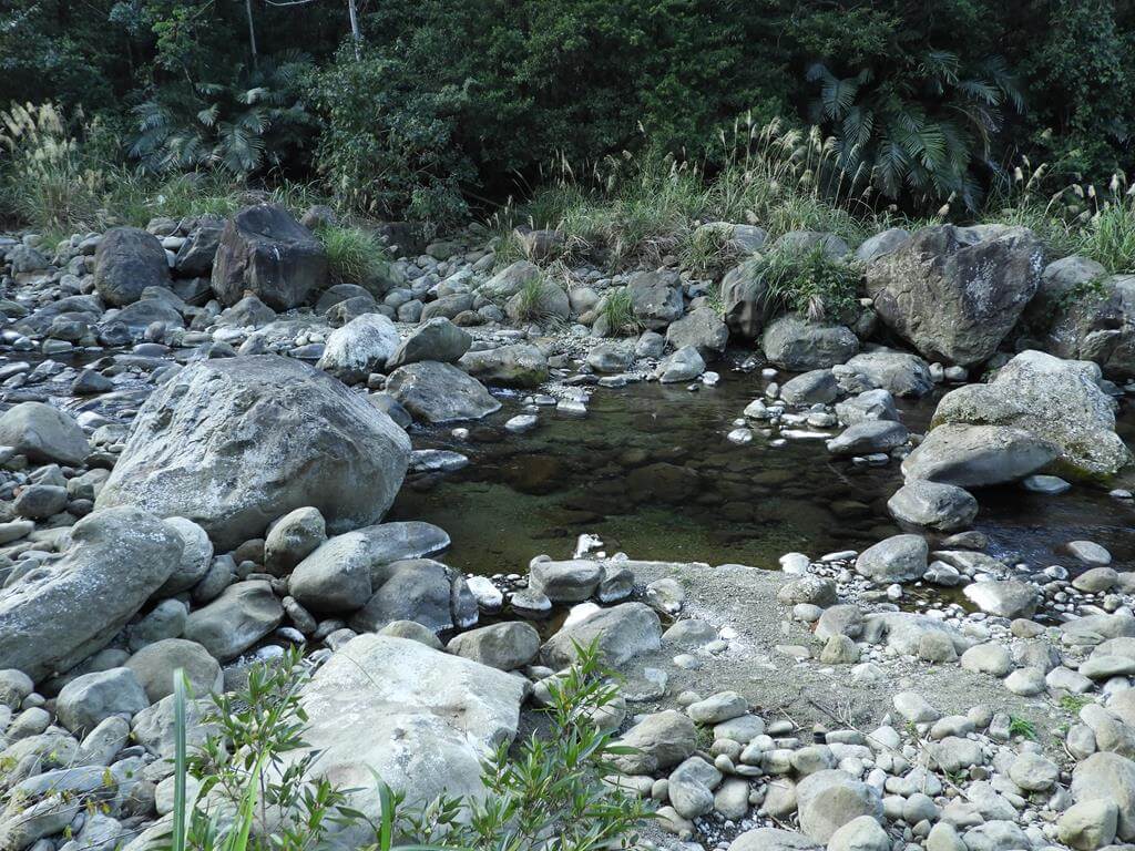 蓬萊溪自然生態園區（蓬萊溪護魚步道）的圖片：第19張照片