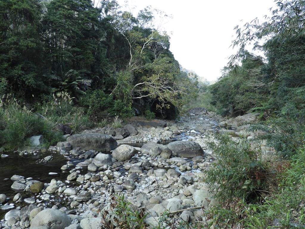 蓬萊溪自然生態園區（蓬萊溪護魚步道）的圖片：第20張照片