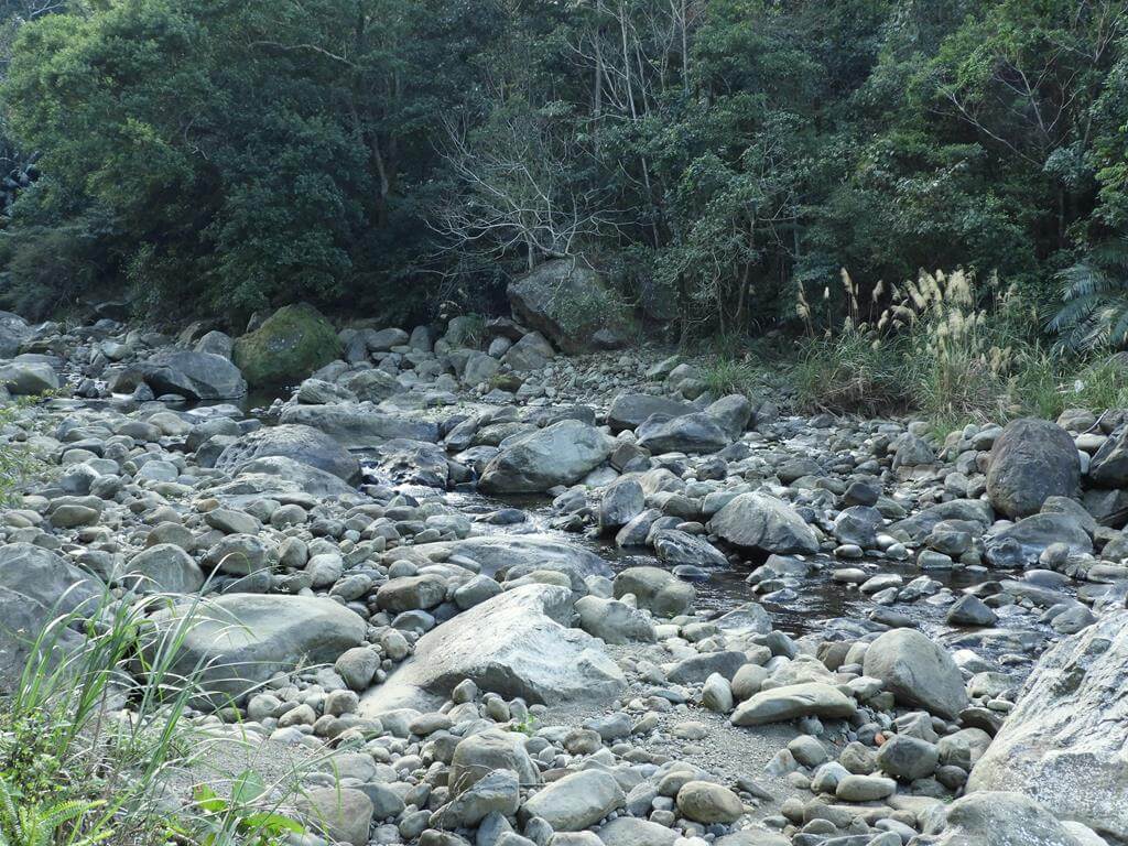 蓬萊溪自然生態園區（蓬萊溪護魚步道）的圖片：第23張照片
