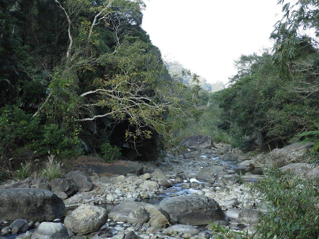 蓬萊溪自然生態園區（蓬萊溪護魚步道）的圖片：第26張照片