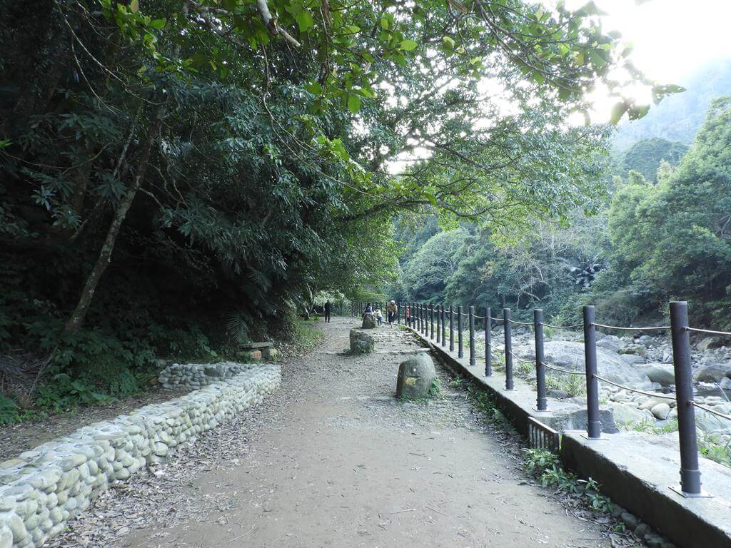 蓬萊溪自然生態園區（蓬萊溪護魚步道）的圖片：第28張照片
