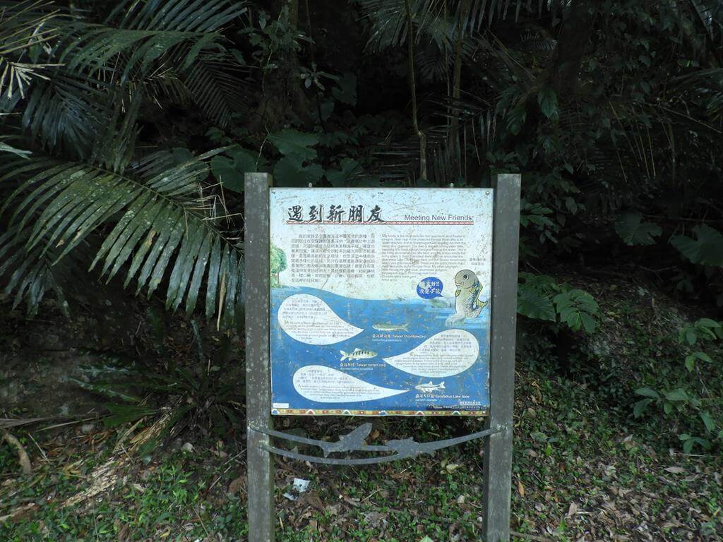 蓬萊溪自然生態園區（蓬萊溪護魚步道）的圖片：第30張照片