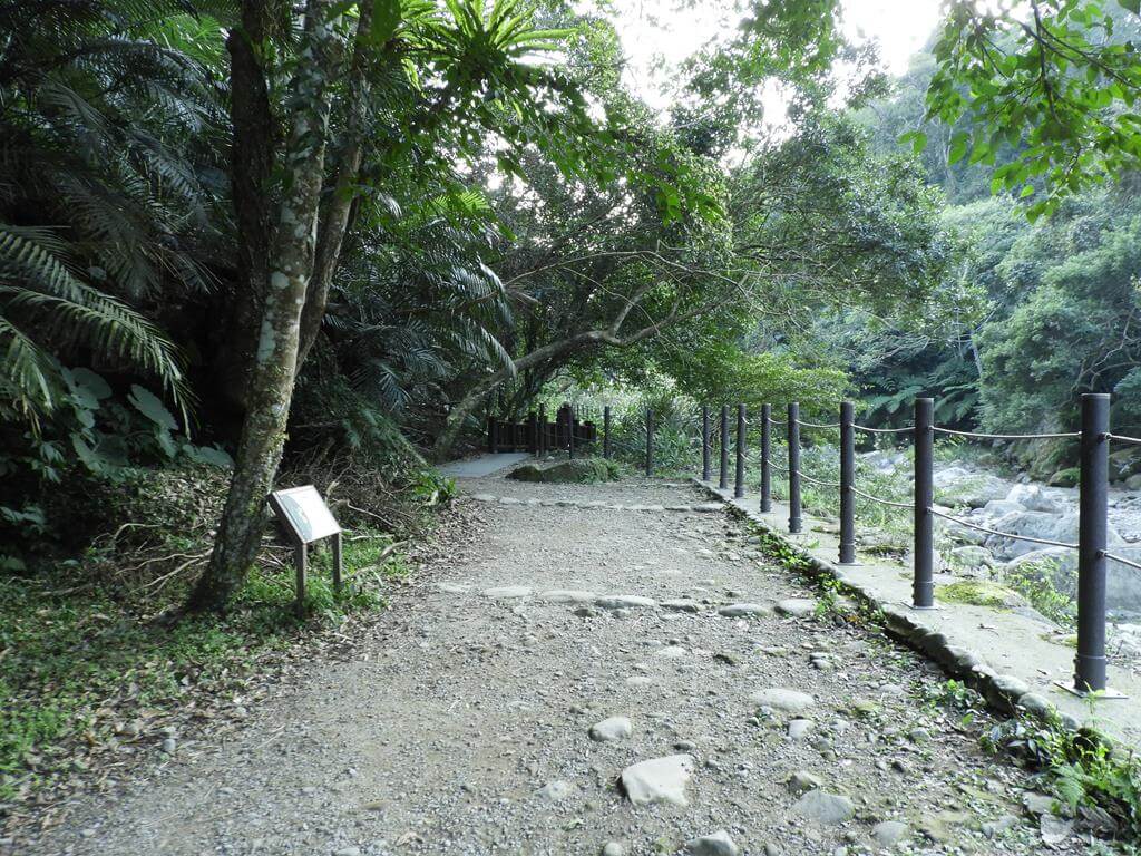 蓬萊溪自然生態園區（蓬萊溪護魚步道）的圖片：第31張照片
