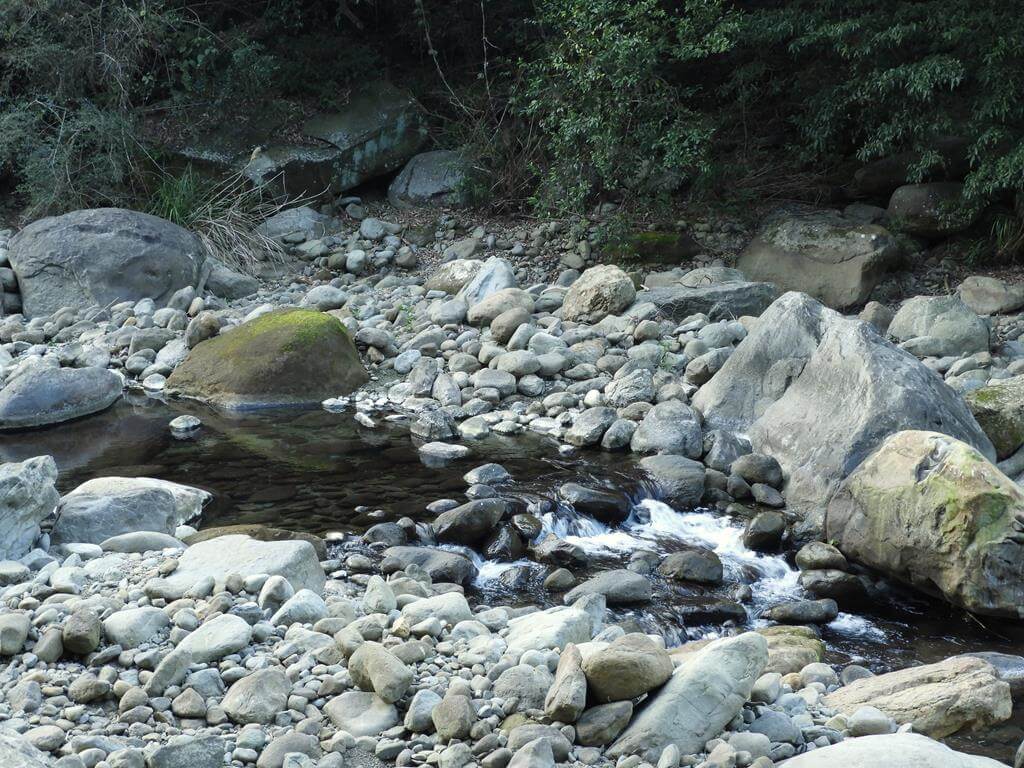 蓬萊溪自然生態園區（蓬萊溪護魚步道）的圖片：第32張照片