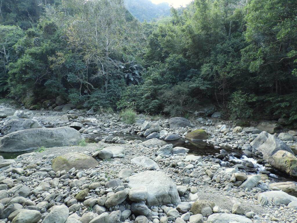 蓬萊溪自然生態園區（蓬萊溪護魚步道）的圖片：第33張照片