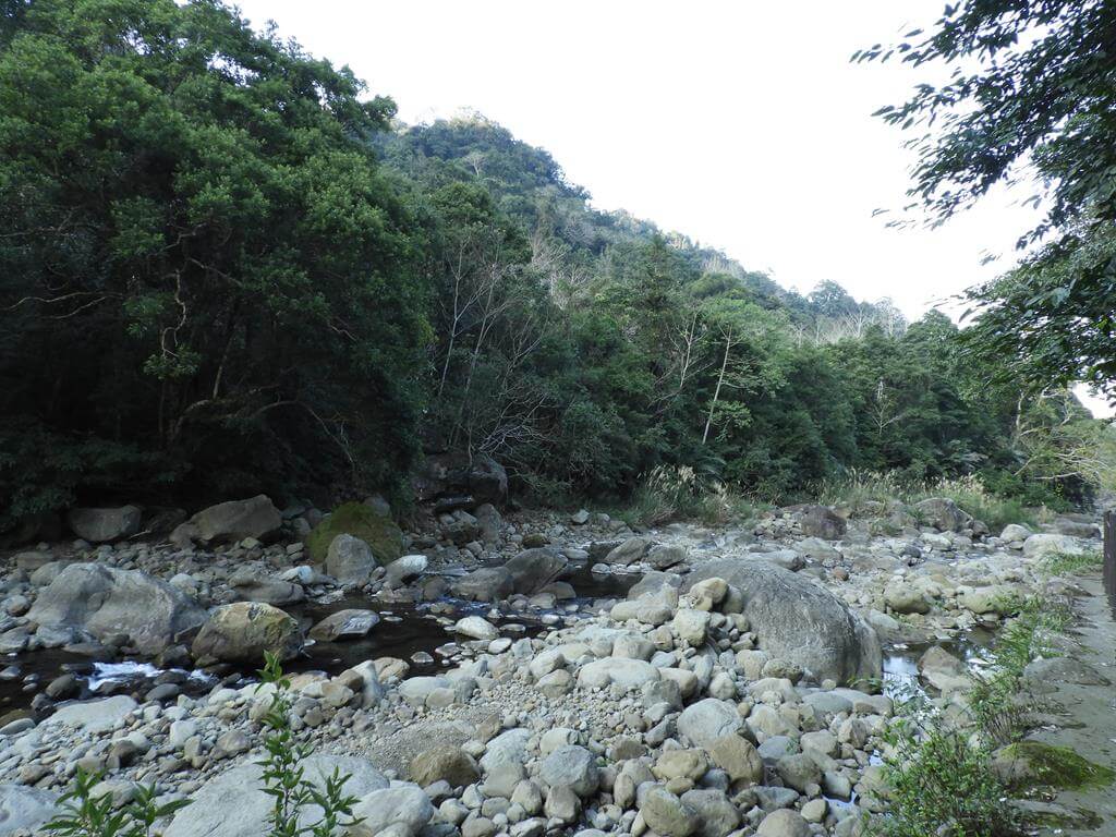 蓬萊溪自然生態園區（蓬萊溪護魚步道）的圖片：第36張照片
