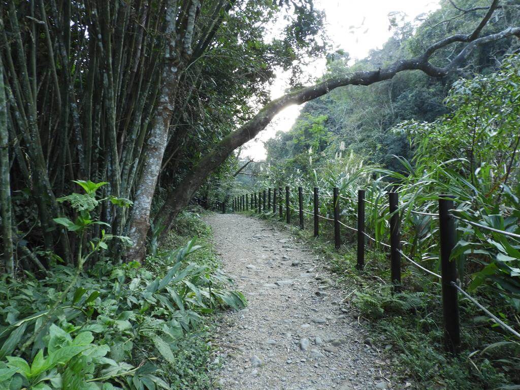蓬萊溪自然生態園區（蓬萊溪護魚步道）的圖片：第37張照片