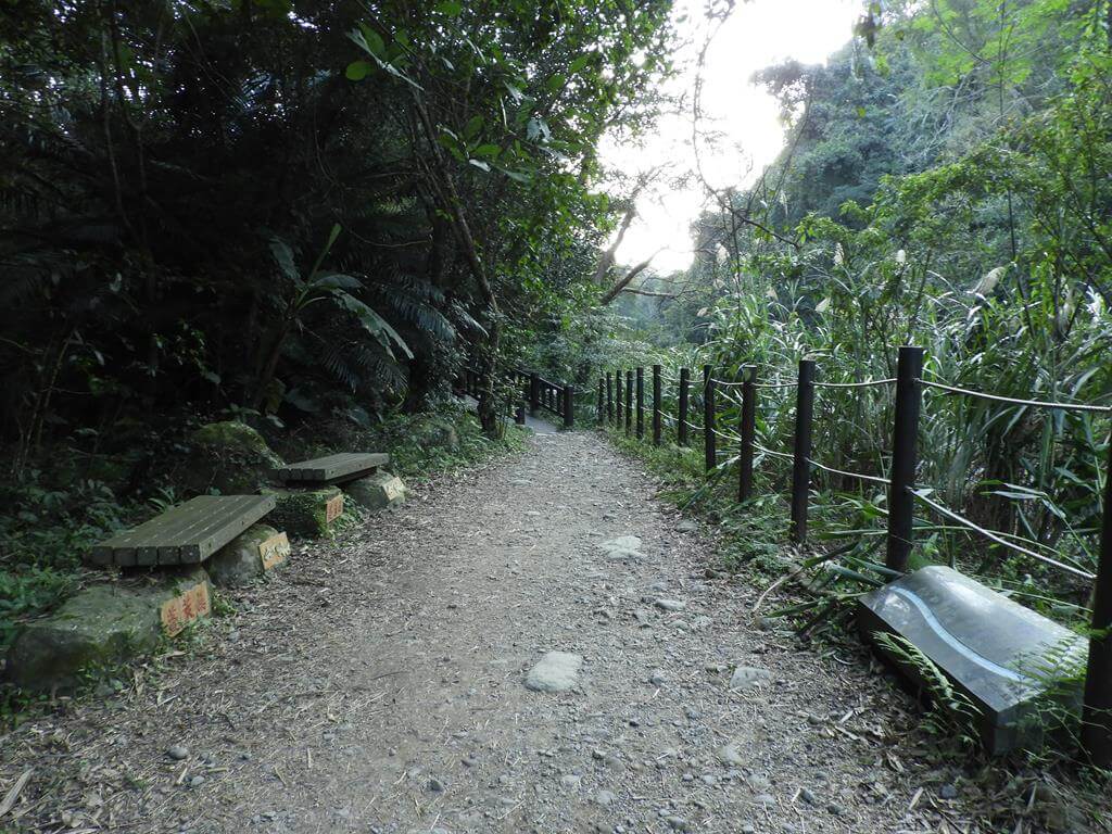 蓬萊溪自然生態園區（蓬萊溪護魚步道）的圖片：第38張照片