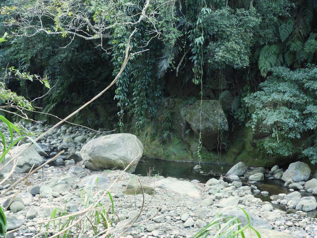 蓬萊溪自然生態園區（蓬萊溪護魚步道）的圖片：第39張照片