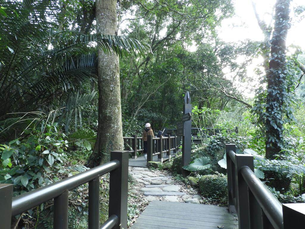 蓬萊溪自然生態園區（蓬萊溪護魚步道）的圖片：第41張照片